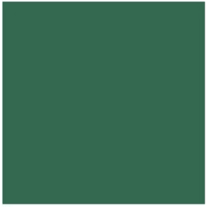 Dark Green Solid Cardstock (10/pk)