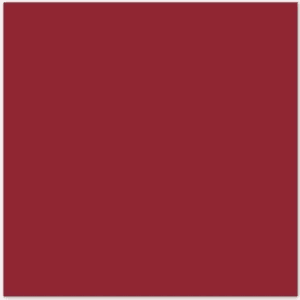 Cranberry Solid Cardstock (10/pk)