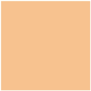 Tangerine Solid Cardstock (10/pk)