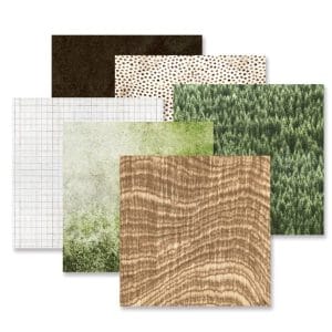 Deep In the Woods Texture Paper Pack (12/pk)