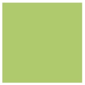 Marsh Green Solid Cardstock