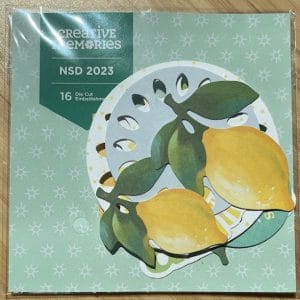 NSD 2023 Embellishment Pack (16/pk)