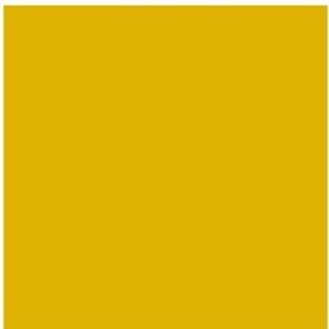 Sunflower Solid Core Paper