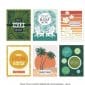 creative-memories-tropic-time-card-kit-completed-cards-02