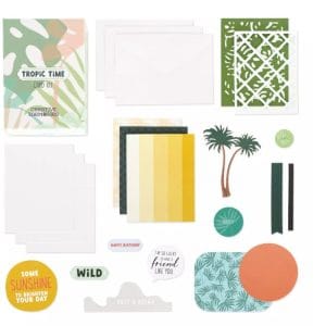 Contents of the Creative Memories Tropic Time Card Kit including envelopes, card bases and precut pieces and phrases such as "Have a Wild Birthday"