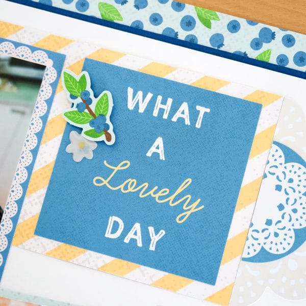 creative-memories-berry-harvest-mat-pack-664364-03 creative-memories-berry-harvest-mat-pack-664364-03