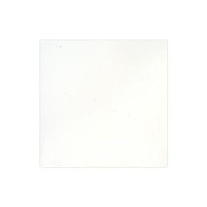 Stardust White Solid Cardstock (10/pk)