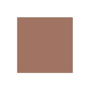 Caramel Solid Cardstock (10/pk)