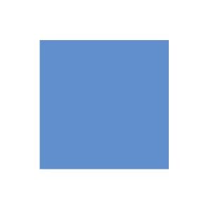 Cornflower Solid Cardstock (10/pk)