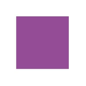 Plum Solid Cardstock (10/pk)