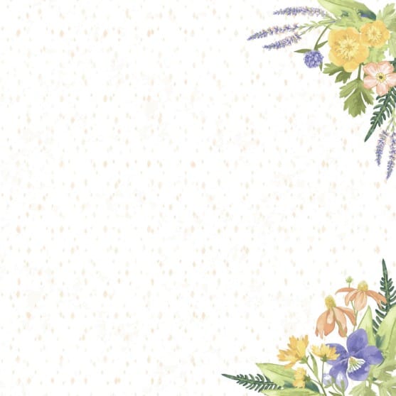 Endless Meadows 12x12 Fast2Fab Refill Pages (16/pk)